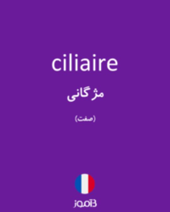  تصویر ciliaire - دیکشنری انگلیسی بیاموز