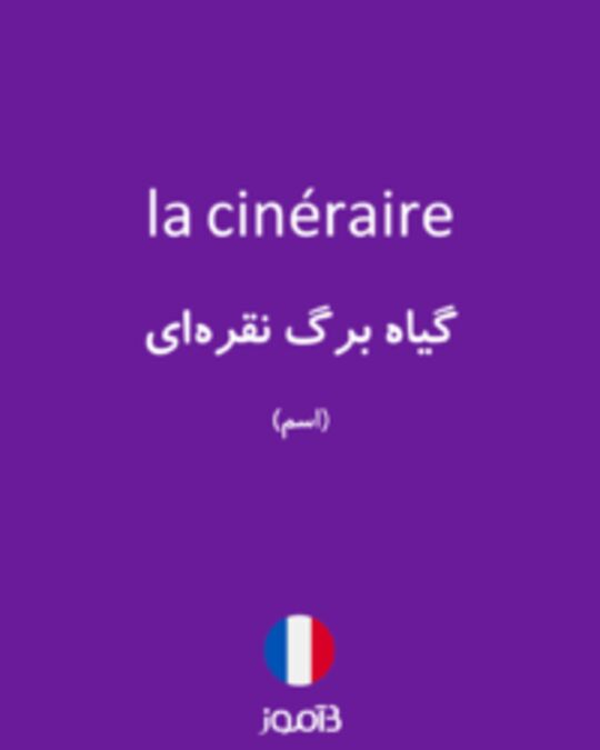  تصویر la cinéraire - دیکشنری انگلیسی بیاموز