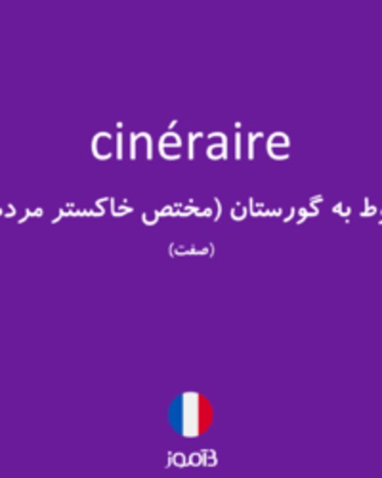  تصویر cinéraire - دیکشنری انگلیسی بیاموز