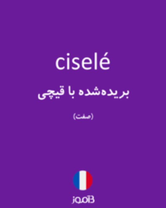  تصویر ciselé - دیکشنری انگلیسی بیاموز