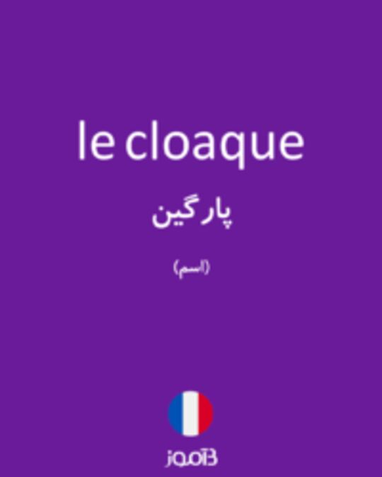  تصویر le cloaque - دیکشنری انگلیسی بیاموز