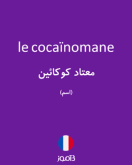  تصویر le cocaïnomane - دیکشنری انگلیسی بیاموز