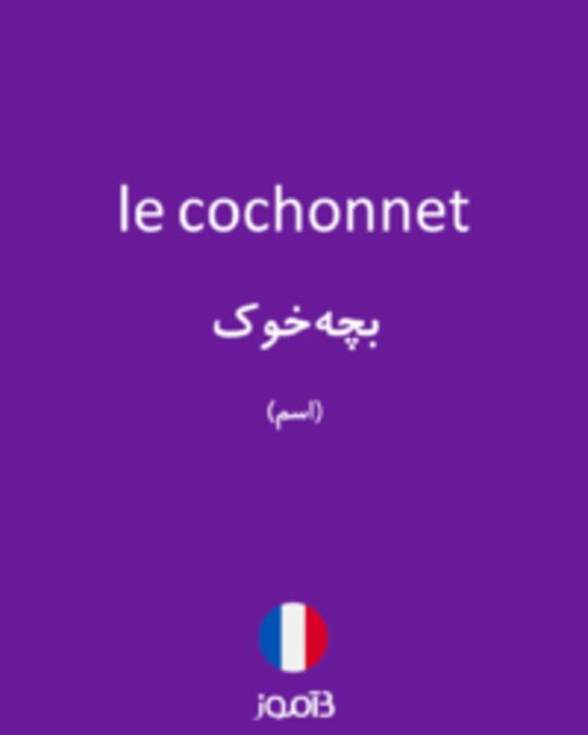  تصویر le cochonnet - دیکشنری انگلیسی بیاموز