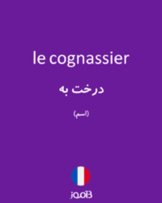  تصویر le cognassier - دیکشنری انگلیسی بیاموز