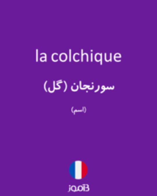  تصویر la colchique - دیکشنری انگلیسی بیاموز