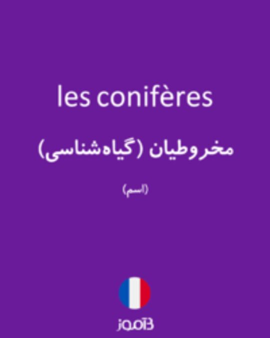  تصویر les conifères - دیکشنری انگلیسی بیاموز