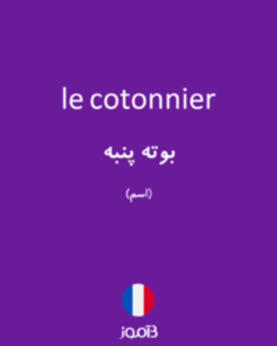  تصویر le cotonnier - دیکشنری انگلیسی بیاموز