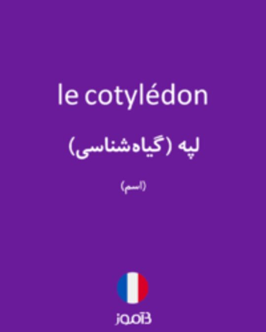  تصویر le cotylédon - دیکشنری انگلیسی بیاموز