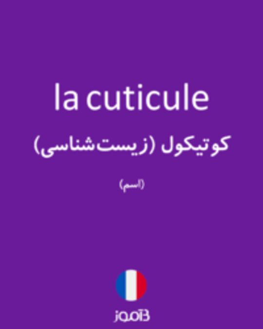  تصویر la cuticule - دیکشنری انگلیسی بیاموز