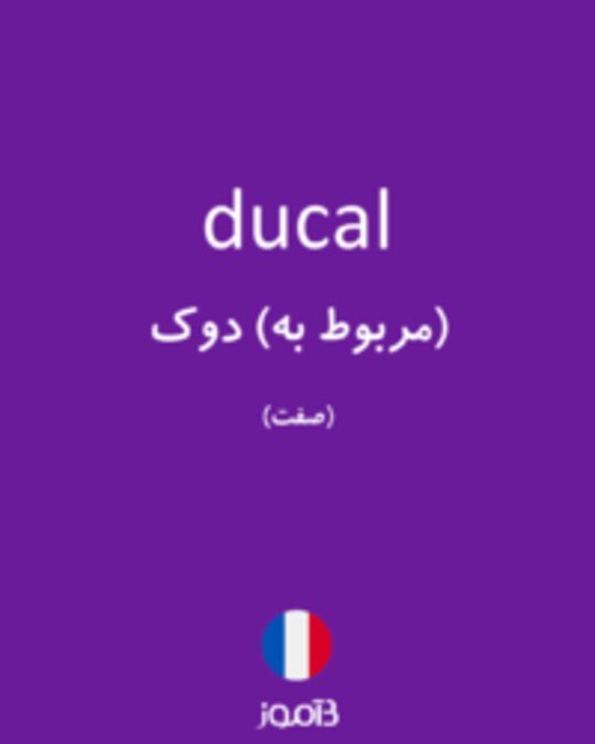  تصویر ducal - دیکشنری انگلیسی بیاموز