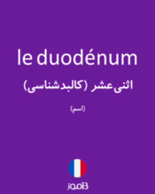  تصویر le duodénum - دیکشنری انگلیسی بیاموز