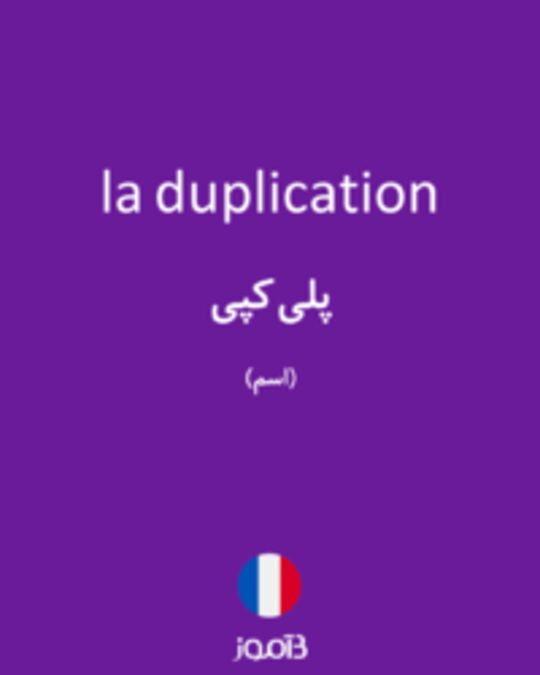  تصویر la duplication - دیکشنری انگلیسی بیاموز