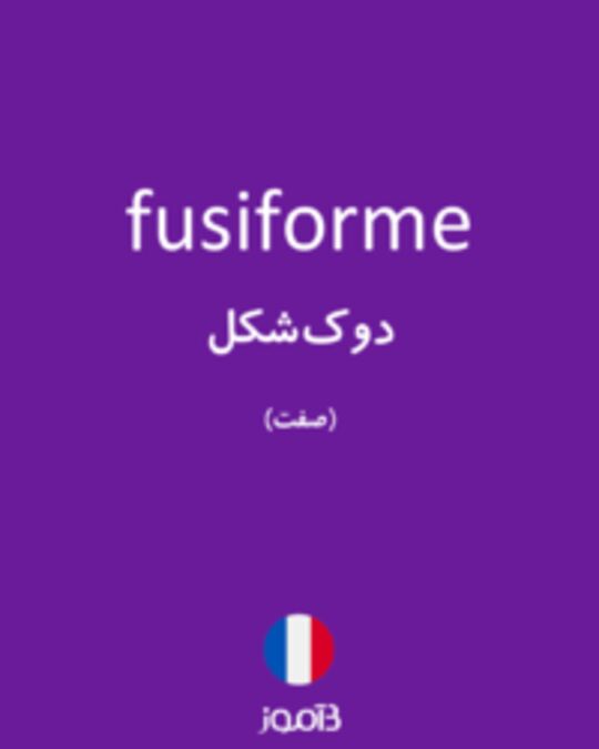  تصویر fusiforme - دیکشنری انگلیسی بیاموز