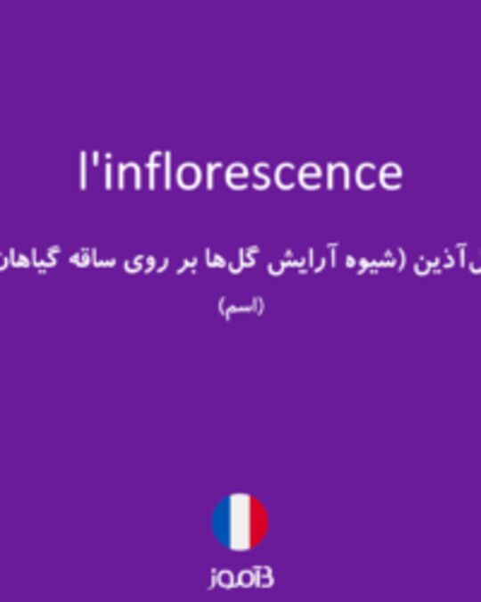  تصویر l'inflorescence - دیکشنری انگلیسی بیاموز