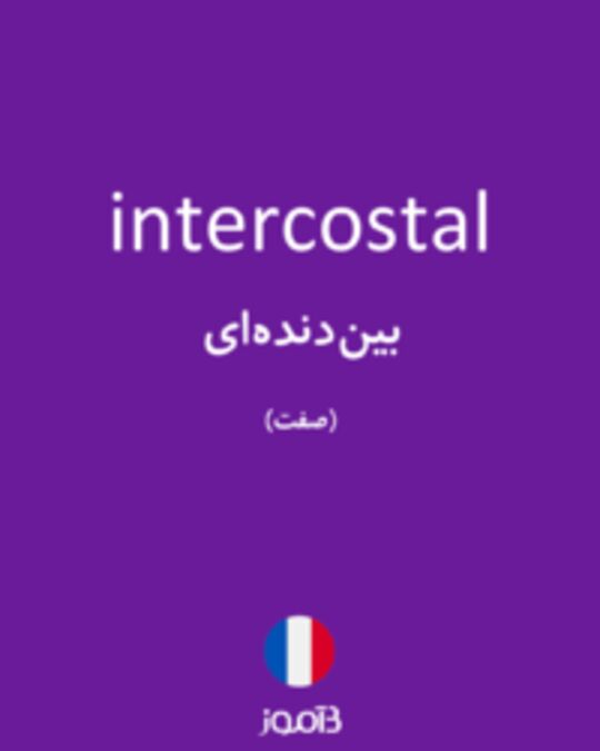  تصویر intercostal - دیکشنری انگلیسی بیاموز