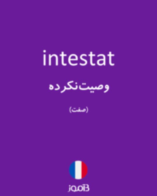  تصویر intestat - دیکشنری انگلیسی بیاموز