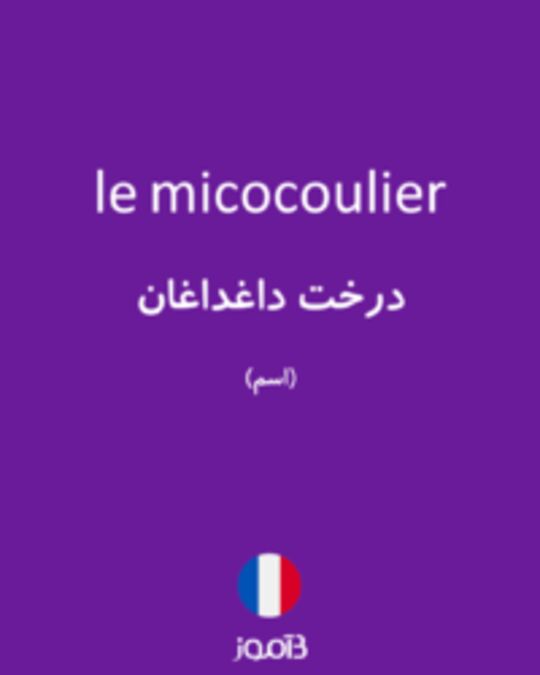  تصویر le micocoulier - دیکشنری انگلیسی بیاموز