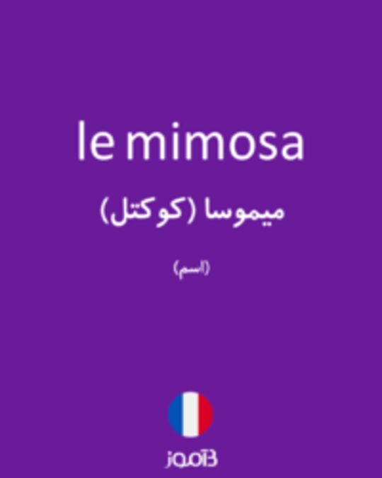  تصویر le mimosa - دیکشنری انگلیسی بیاموز