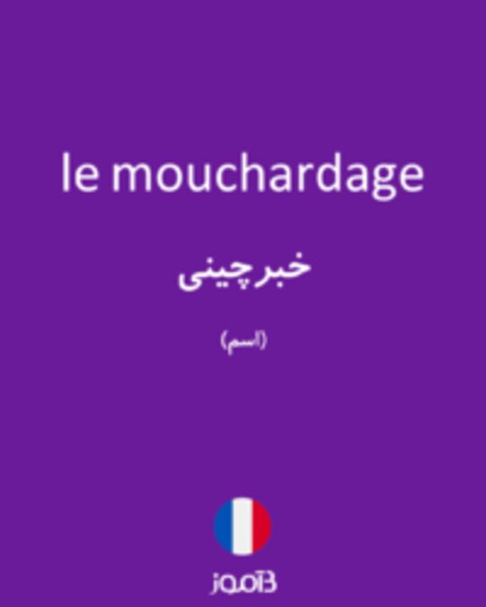  تصویر le mouchardage - دیکشنری انگلیسی بیاموز