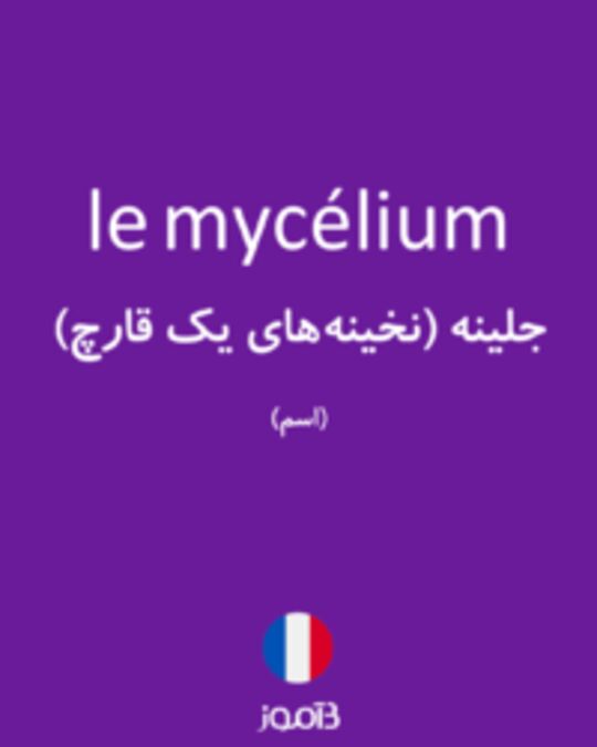  تصویر le mycélium - دیکشنری انگلیسی بیاموز