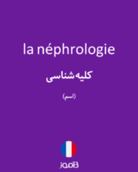  تصویر la néphrologie - دیکشنری انگلیسی بیاموز