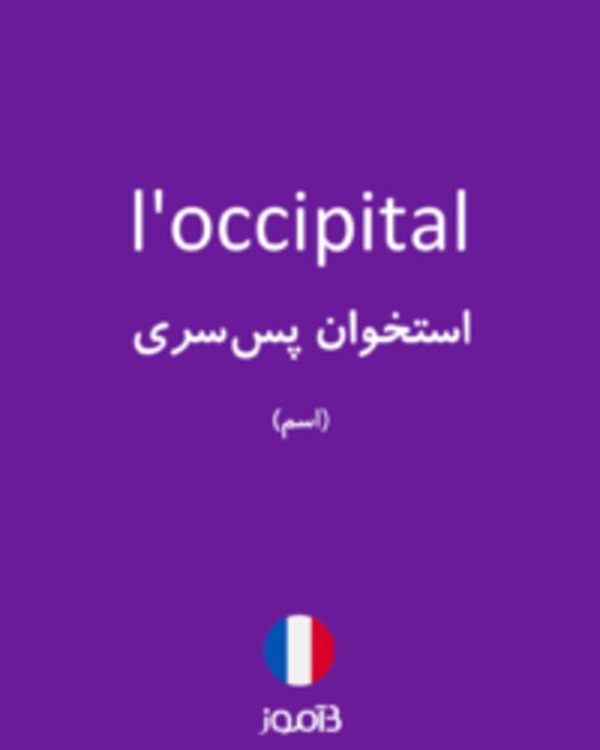  تصویر l'occipital - دیکشنری انگلیسی بیاموز