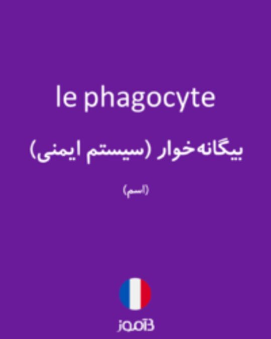  تصویر le phagocyte - دیکشنری انگلیسی بیاموز