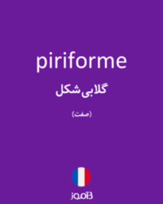  تصویر piriforme - دیکشنری انگلیسی بیاموز