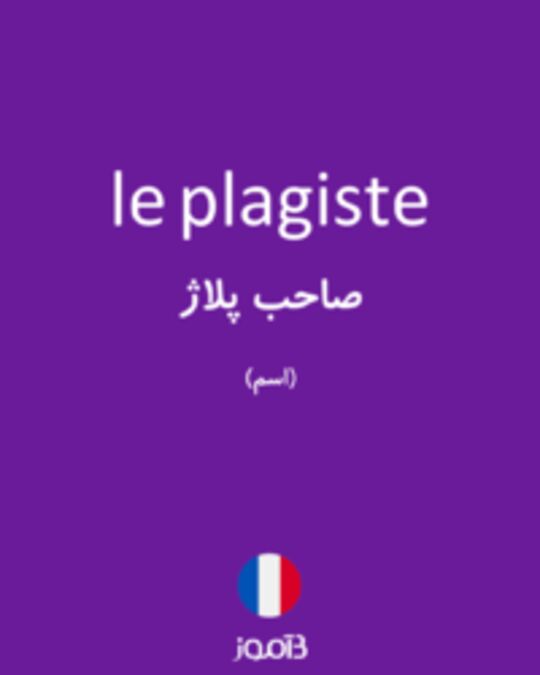  تصویر le plagiste - دیکشنری انگلیسی بیاموز