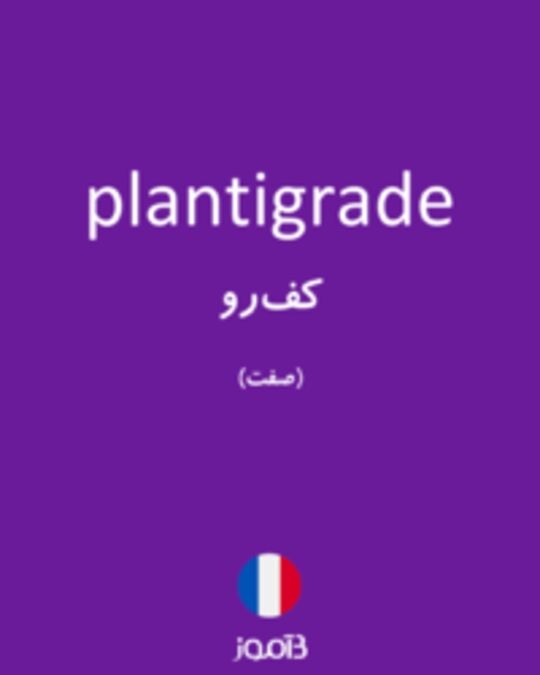  تصویر plantigrade - دیکشنری انگلیسی بیاموز