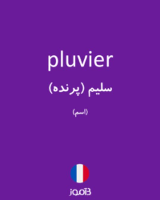  تصویر pluvier - دیکشنری انگلیسی بیاموز