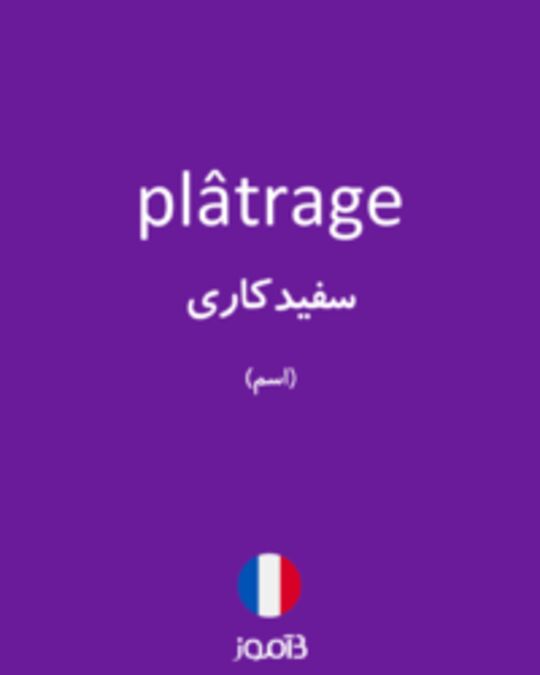  تصویر plâtrage - دیکشنری انگلیسی بیاموز