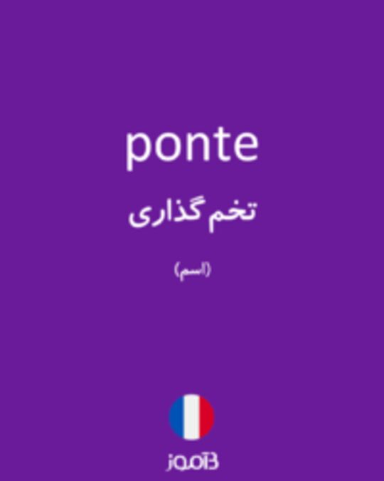  تصویر ponte - دیکشنری انگلیسی بیاموز