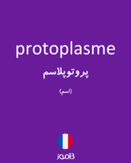  تصویر protoplasme - دیکشنری انگلیسی بیاموز