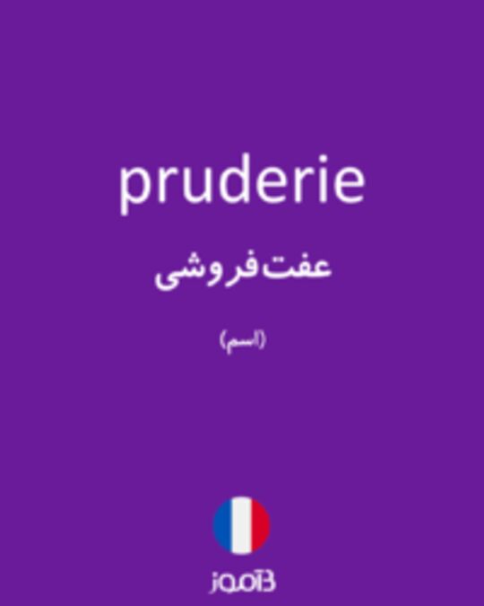  تصویر pruderie - دیکشنری انگلیسی بیاموز