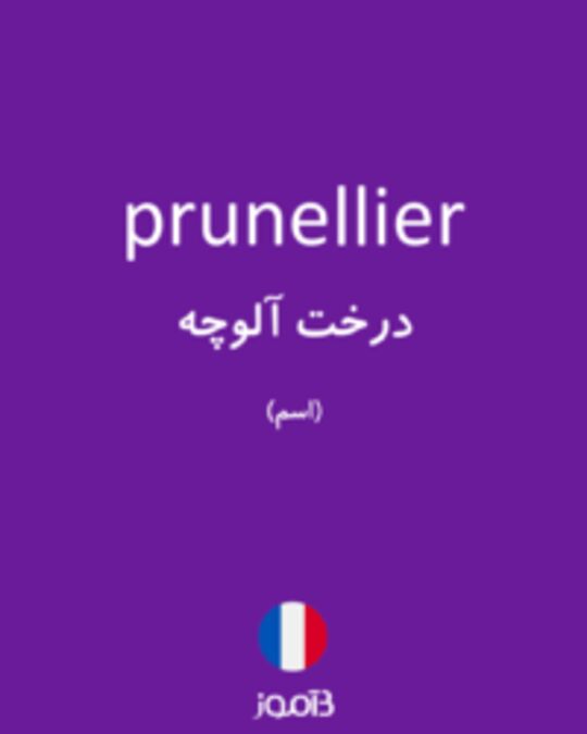  تصویر prunellier - دیکشنری انگلیسی بیاموز