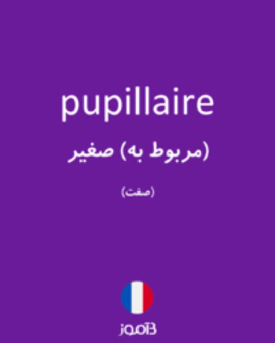  تصویر pupillaire - دیکشنری انگلیسی بیاموز