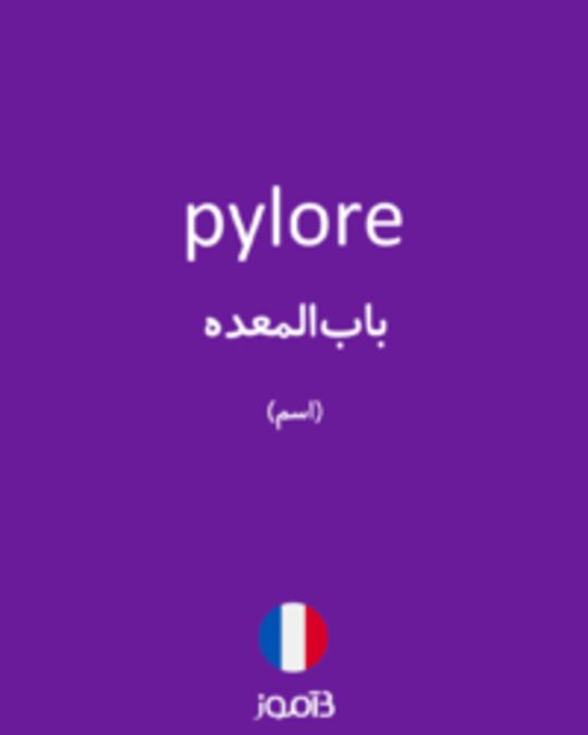  تصویر pylore - دیکشنری انگلیسی بیاموز