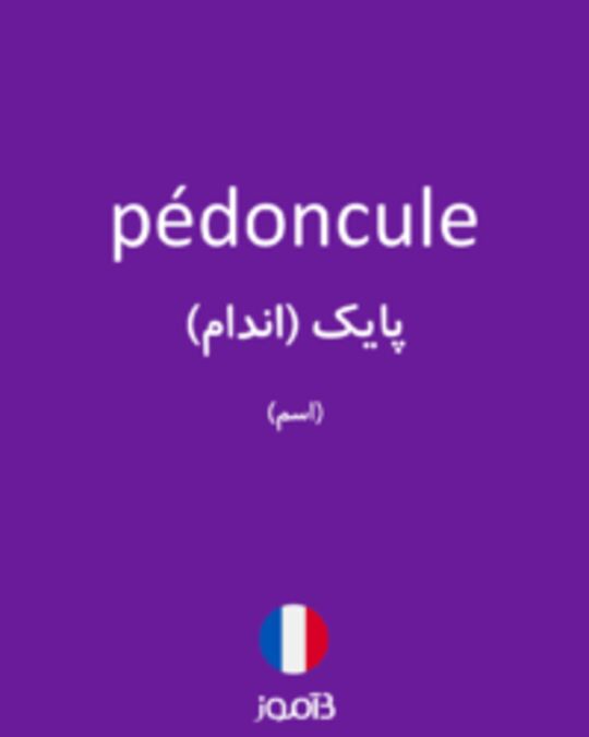  تصویر pédoncule - دیکشنری انگلیسی بیاموز