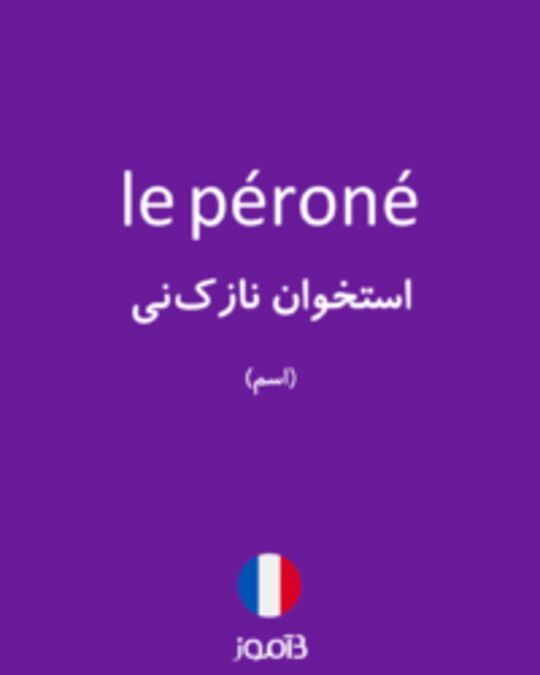  تصویر le péroné - دیکشنری انگلیسی بیاموز