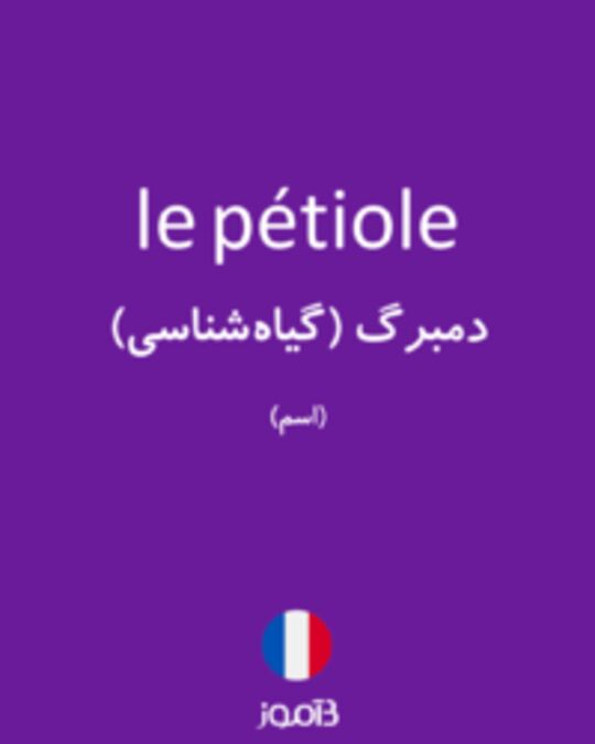  تصویر le pétiole - دیکشنری انگلیسی بیاموز