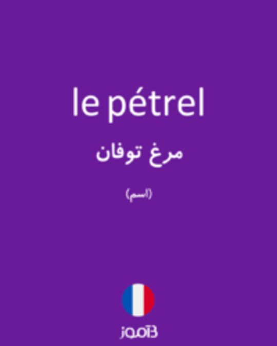  تصویر le pétrel - دیکشنری انگلیسی بیاموز