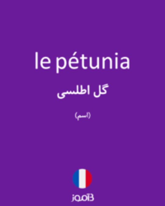  تصویر le pétunia - دیکشنری انگلیسی بیاموز