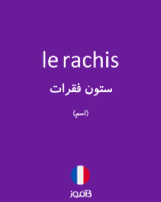  تصویر le rachis - دیکشنری انگلیسی بیاموز