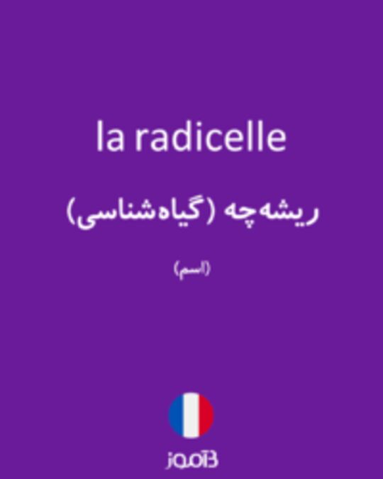  تصویر la radicelle - دیکشنری انگلیسی بیاموز