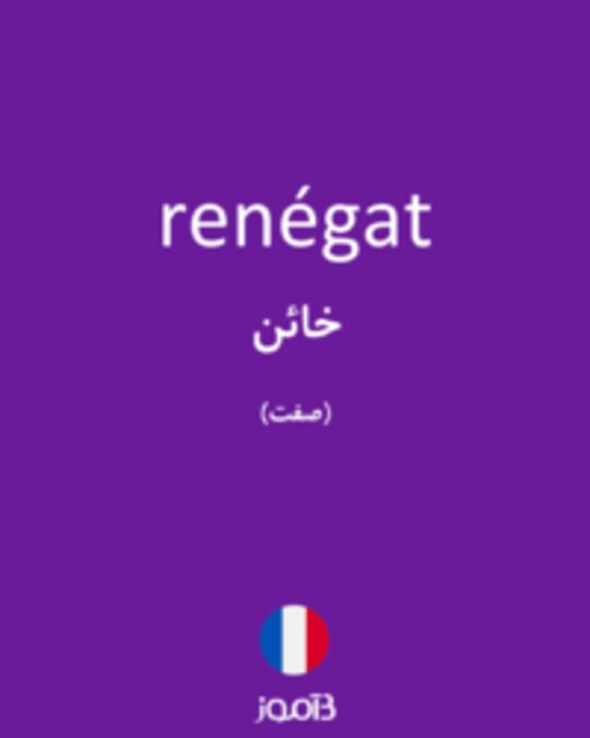  تصویر renégat - دیکشنری انگلیسی بیاموز