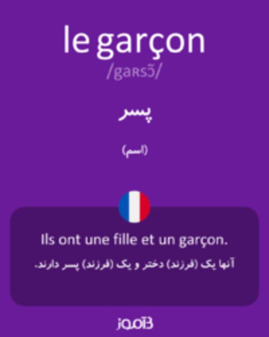  تصویر le garçon - دیکشنری انگلیسی بیاموز