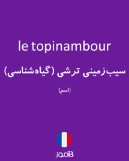  تصویر le topinambour - دیکشنری انگلیسی بیاموز
