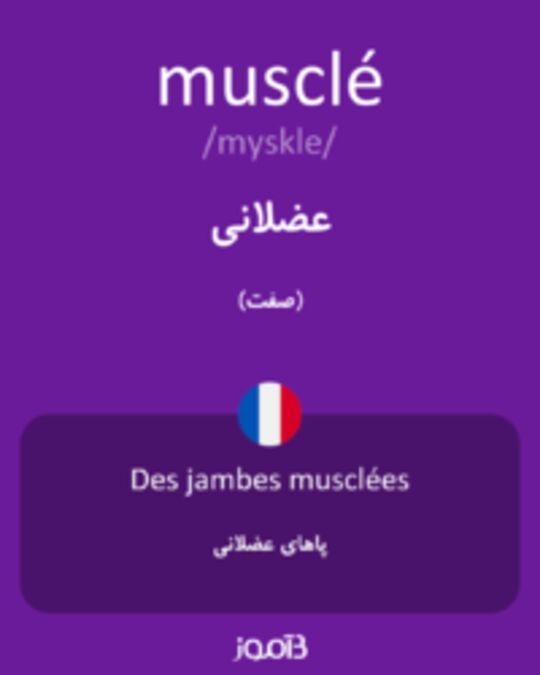  تصویر musclé - دیکشنری انگلیسی بیاموز