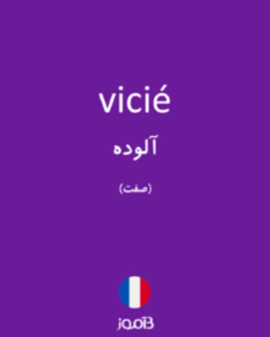  تصویر vicié - دیکشنری انگلیسی بیاموز